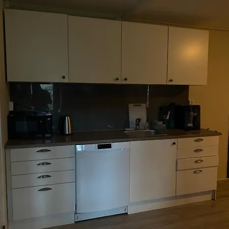 Apartment Ideelt Og Rens Sted