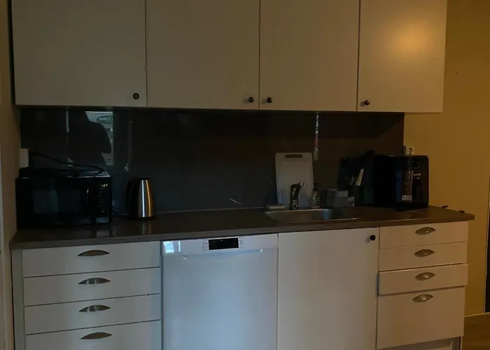 Apartment Ideelt Og Rens Sted